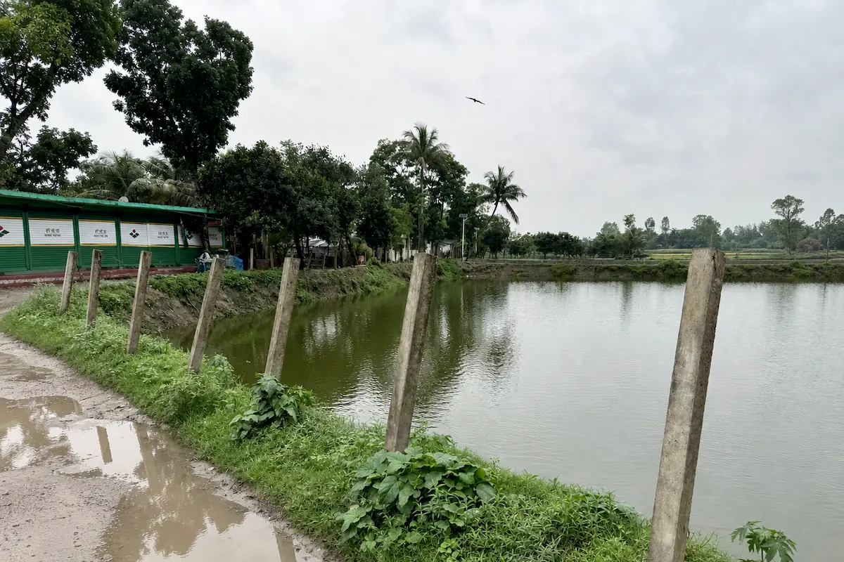 Pond Fish Farming sample photo