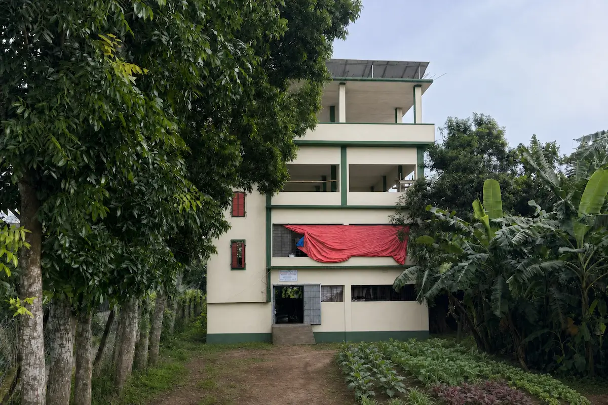 Cattle Farm